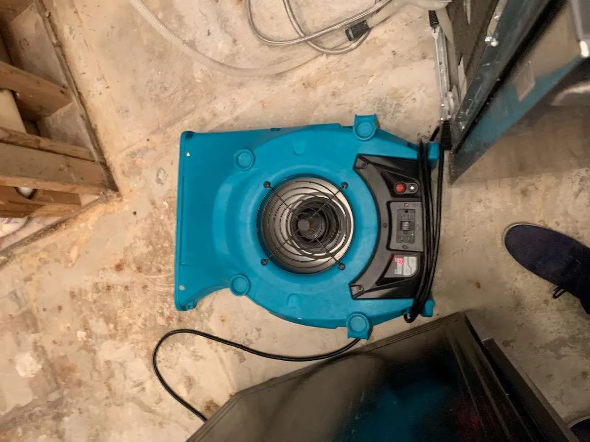 Air mover drying equipment for Mold Remediation & Removal in Evanston
